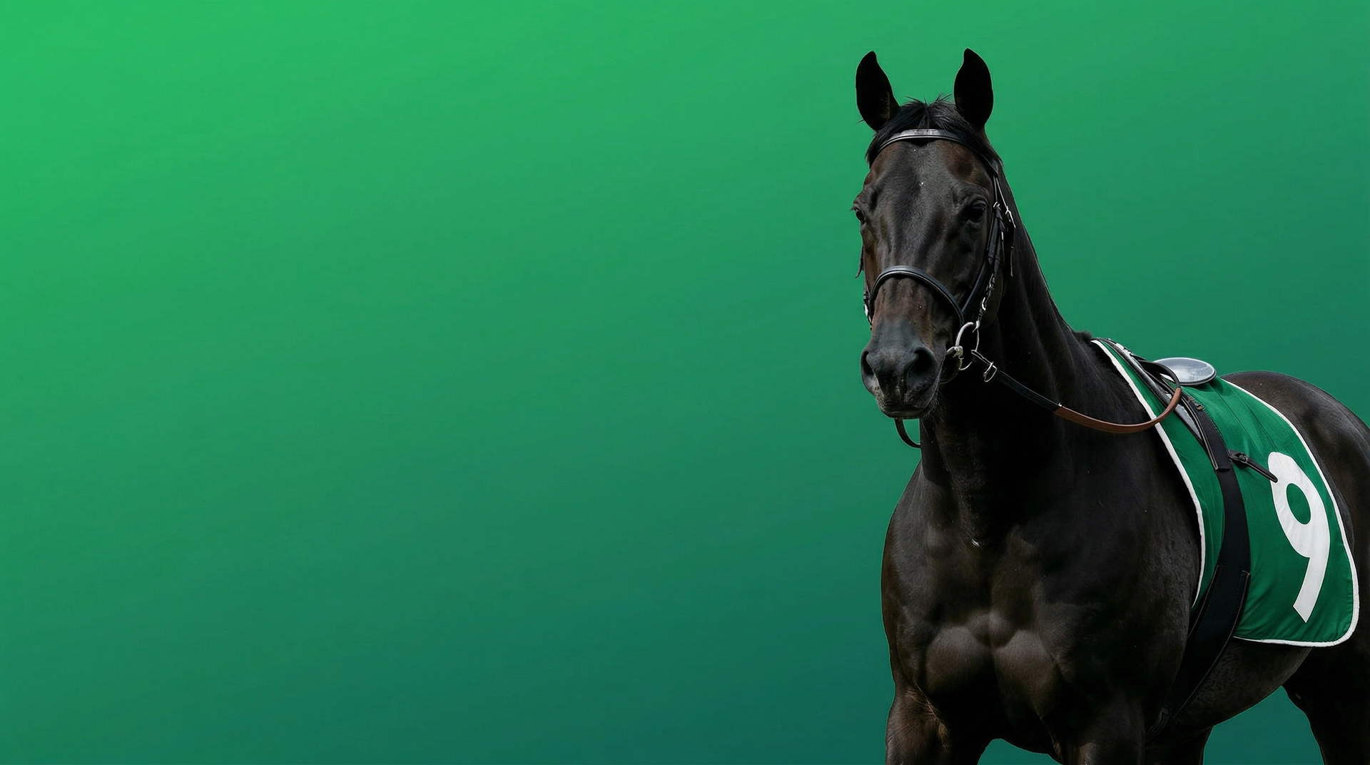 Horse green theme