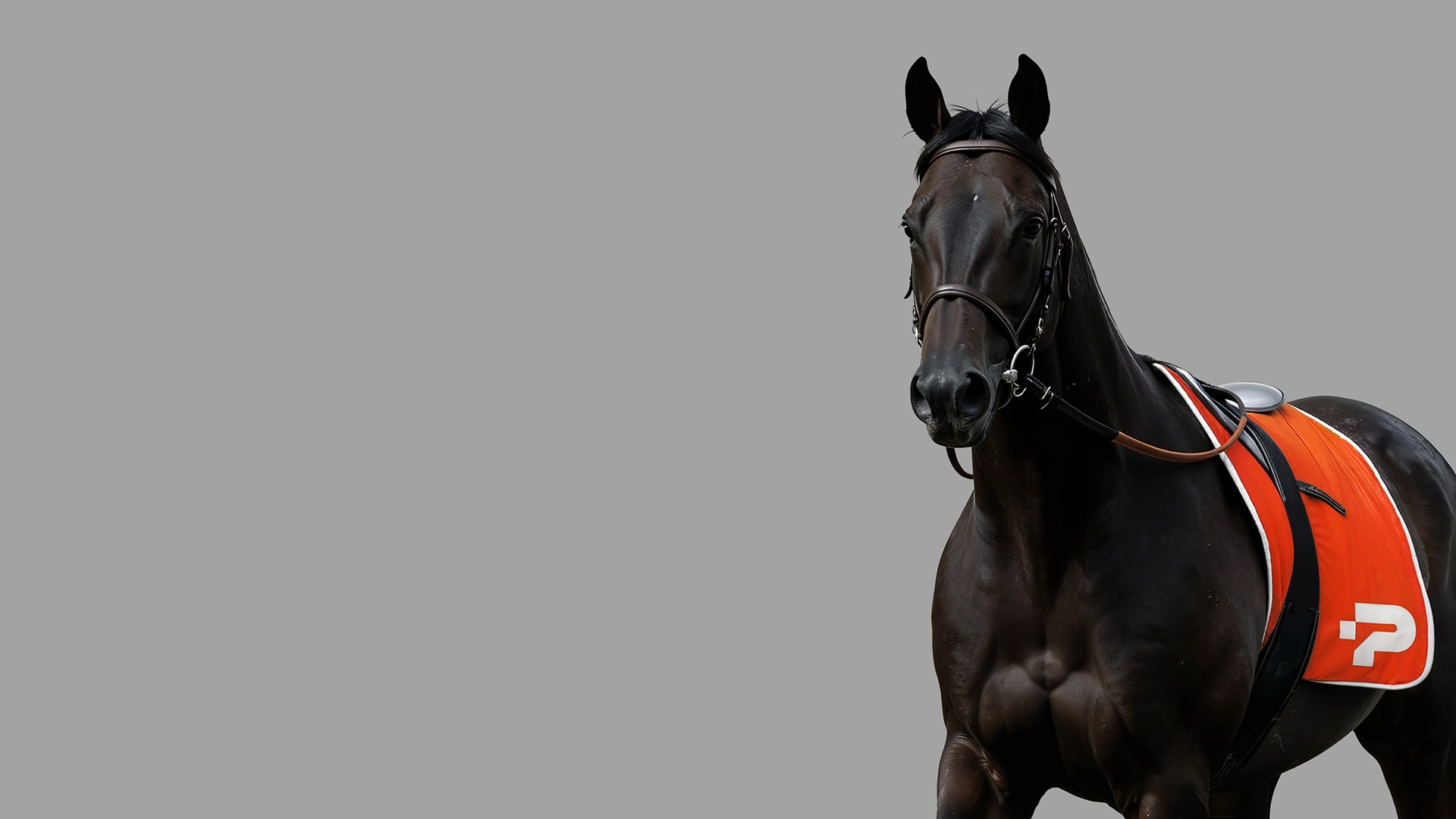 Sponsor integration 1