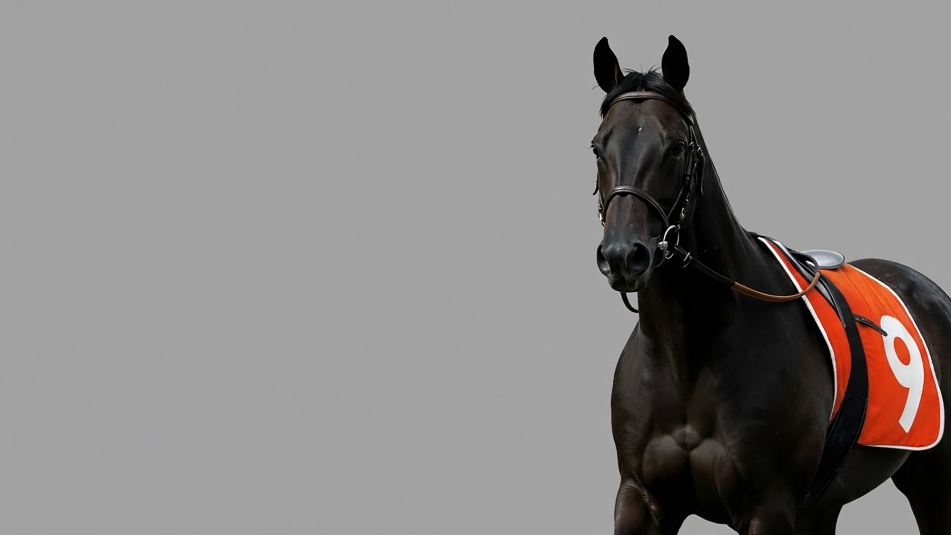 Sponsor integration 2