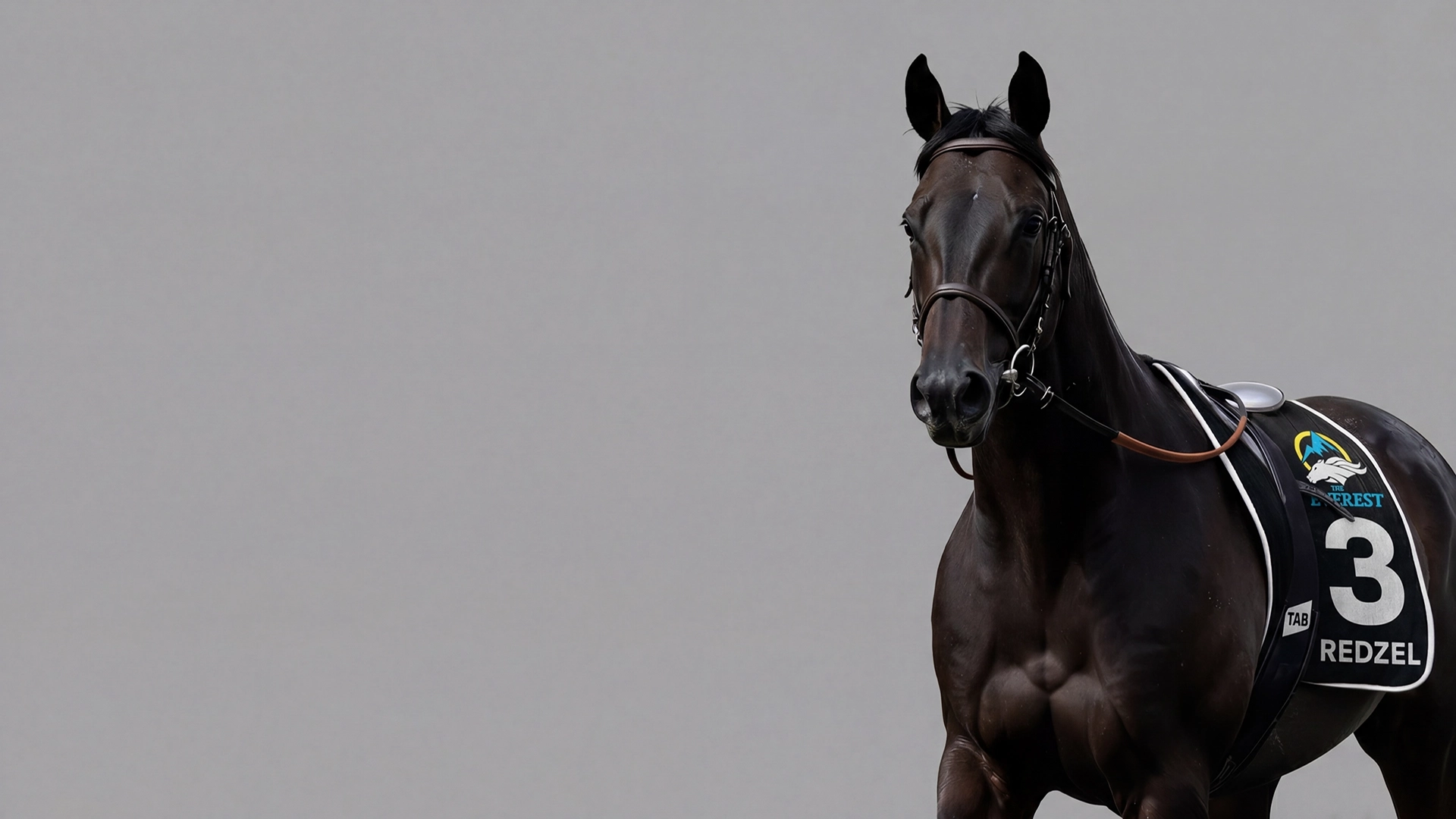 Sponsor integration 3